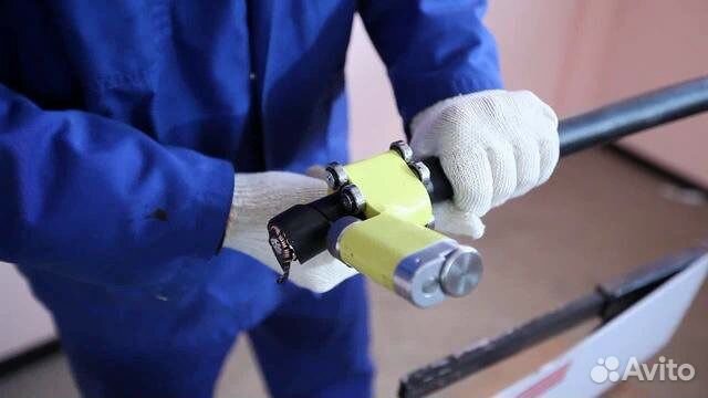 Как правильно сажать туи и когда 570