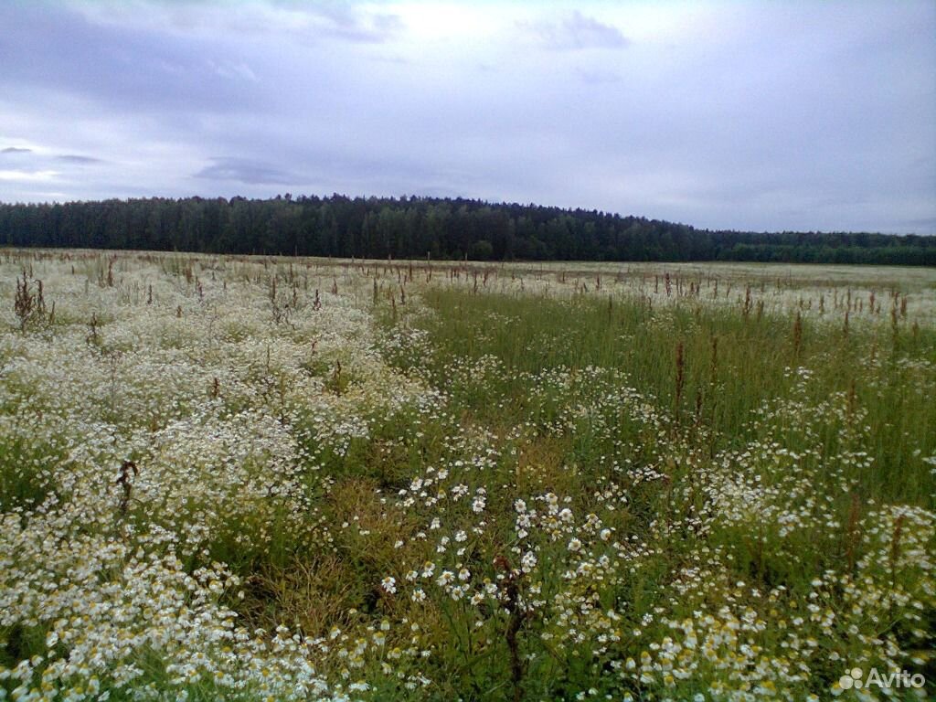 Купить Участок Рядом С Екатеринбургом