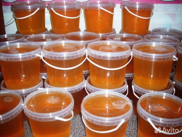 Продам алтайский мед купить на Зозу.ру - фотография № 1