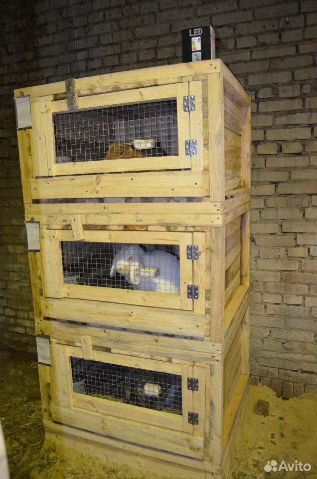 Клетки для кроликов купить на Зозу.ру - фотография № 4