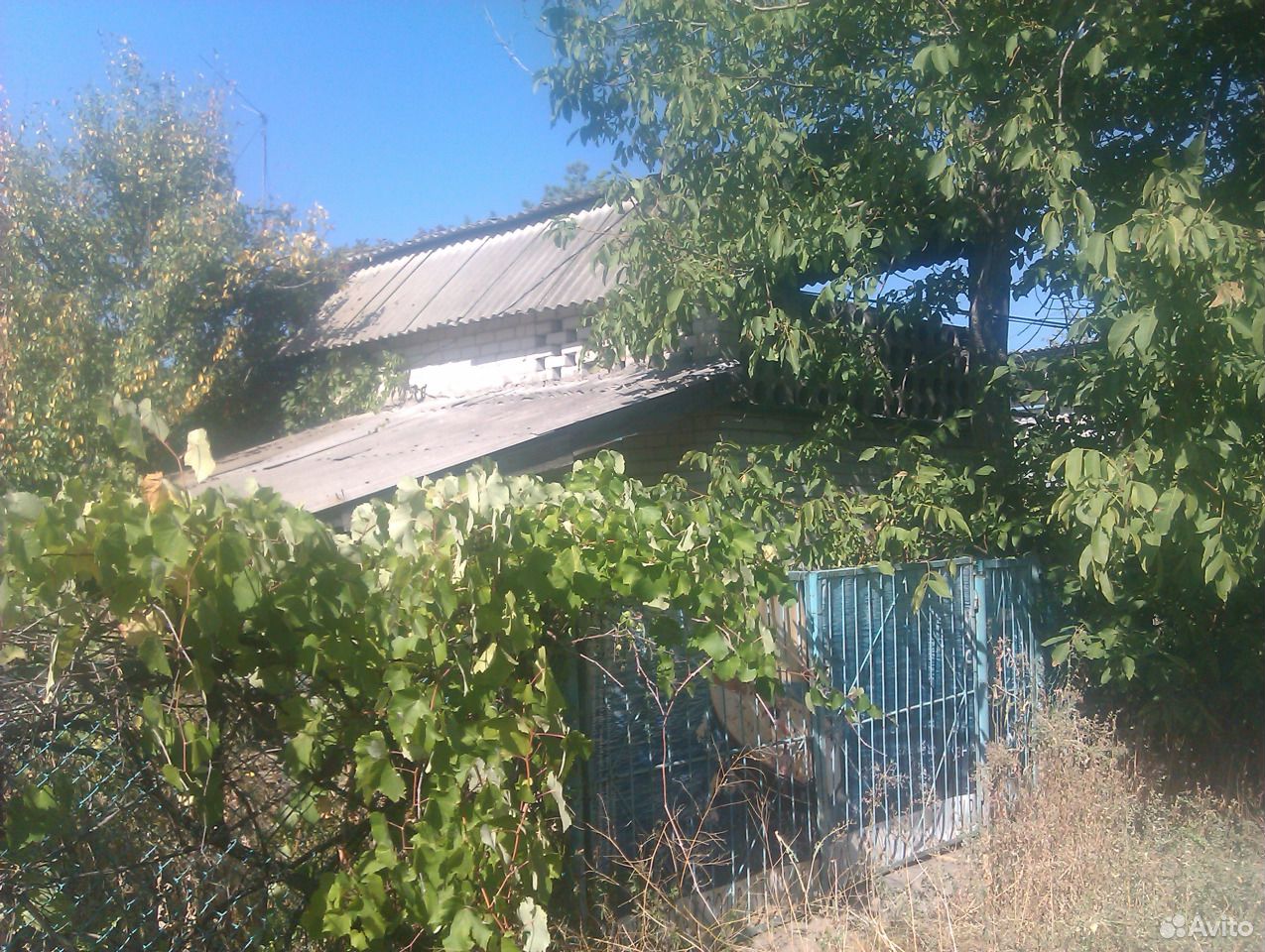 Купить Дачу В Винновке Волгоград Свежие