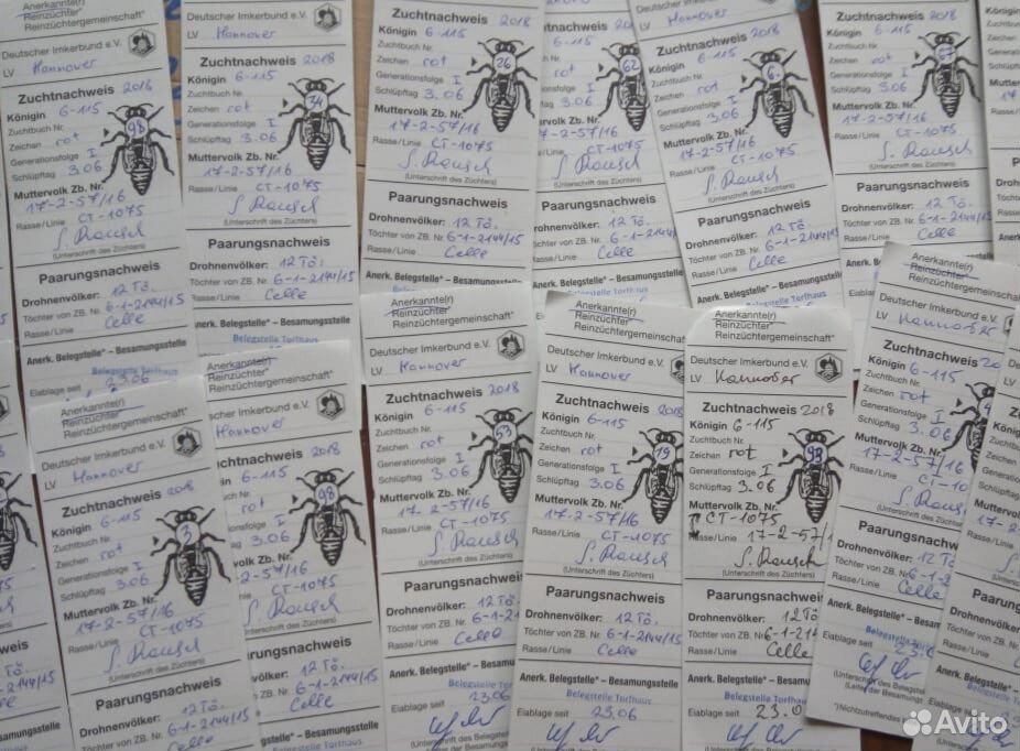 Качественные пчелопакеты-2020 купить на Зозу.ру - фотография № 5