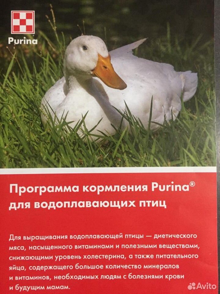 Корм Пурина для с/х животных и птиц купить на Зозу.ру - фотография № 1