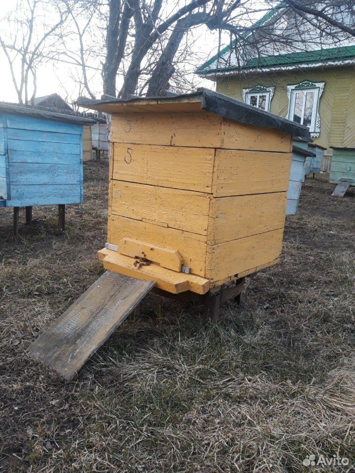 Улей с пчелами по 14 стандартных рамок в комплекте купить на Зозу.ру - фотография № 1