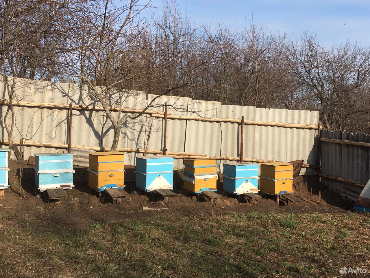 Улей и пчёлы купить на Зозу.ру - фотография № 1