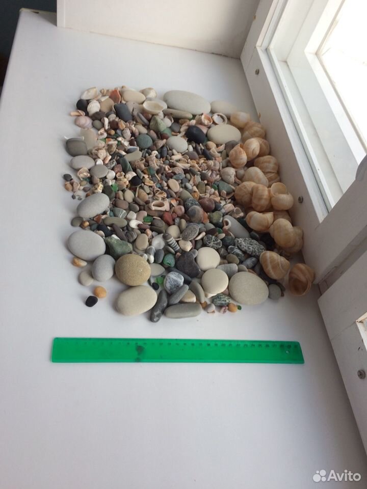 Набор в аквариум ракушки камни морские купить на Зозу.ру - фотография № 3