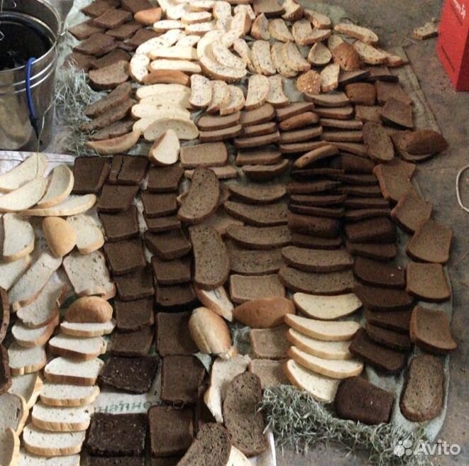 Сухари и хлеб на корм животным купить на Зозу.ру - фотография № 1