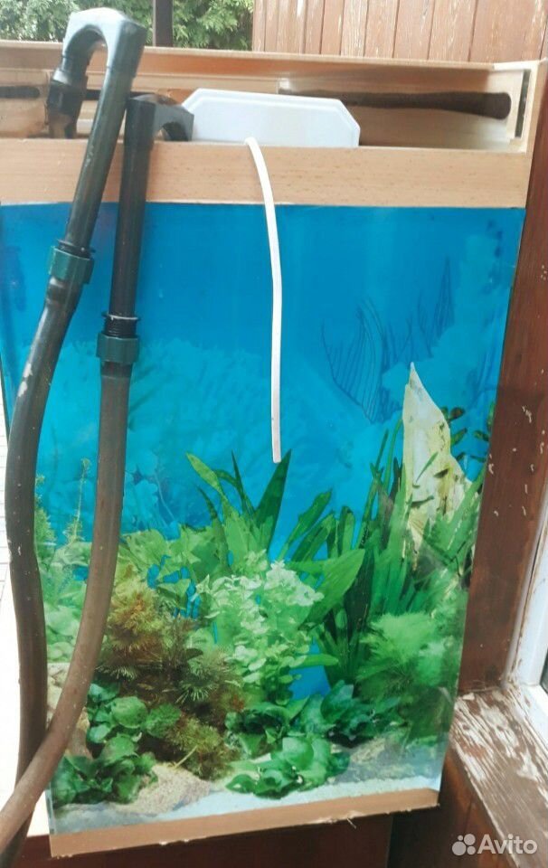 Продам большой аквариум вместе с насосом с фильтро купить на Зозу.ру - фотография № 3
