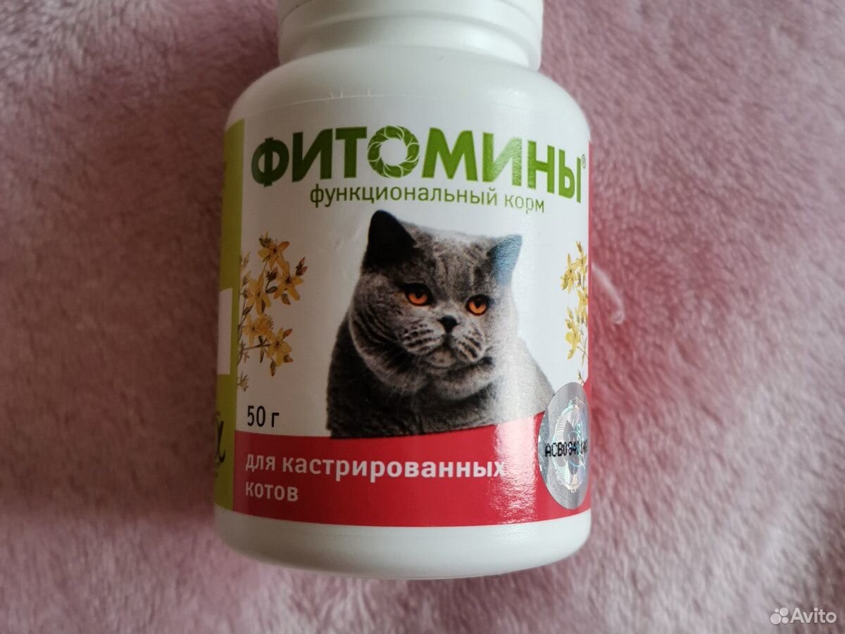 Для котов и кошек купить на Зозу.ру - фотография № 2