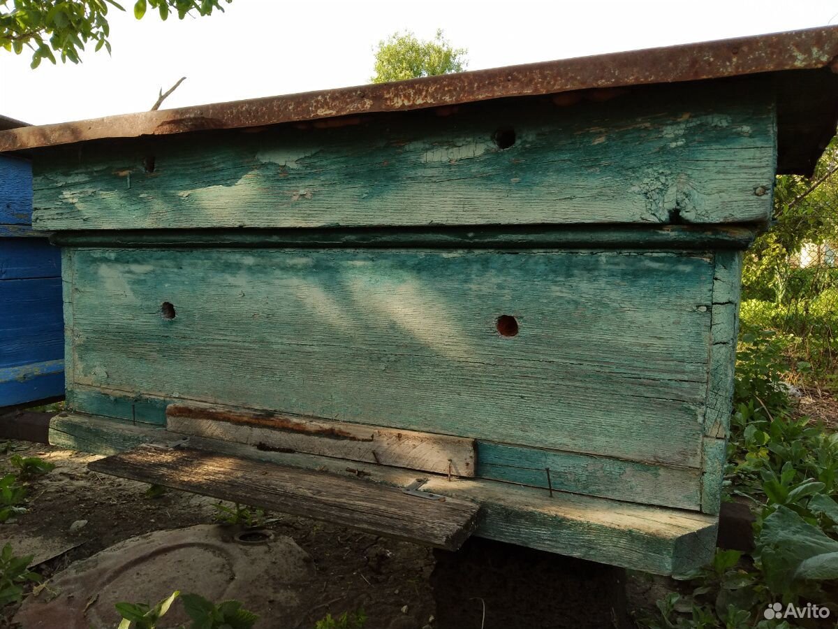Пчёлы с уликами купить на Зозу.ру - фотография № 7