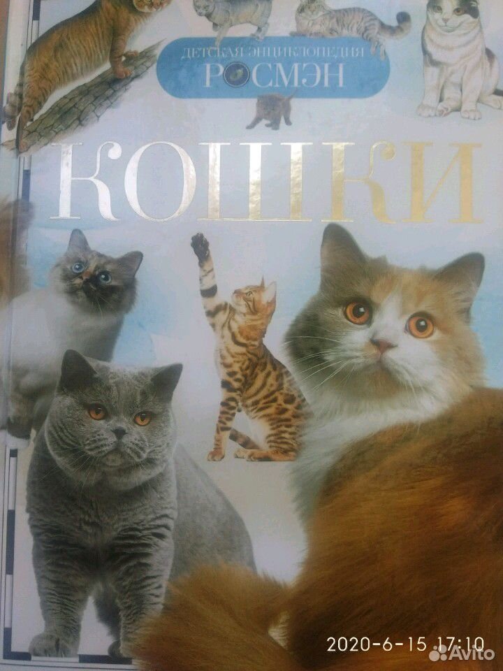 Книги по аквариумным рыбкам; кошкам купить на Зозу.ру - фотография № 2