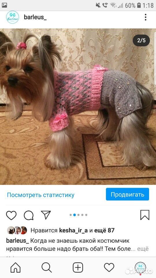 Одежда для собак купить на Зозу.ру - фотография № 6