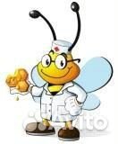 Живые пчелы купить на Зозу.ру - фотография № 1