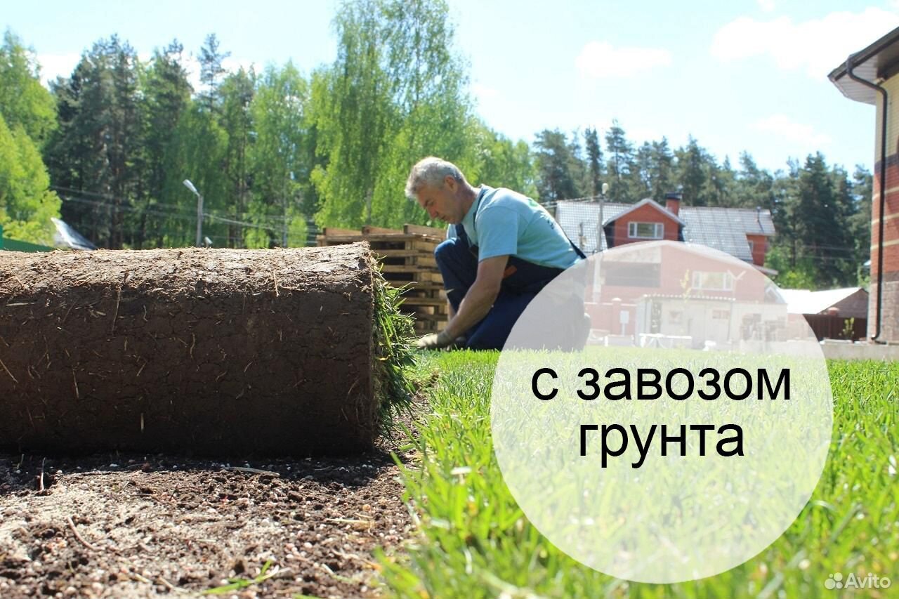 Универсальный рулонный газон с работой мо купить на Зозу.ру - фотография № 1