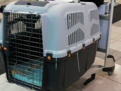 Клетка для перевозки собаки в самолете