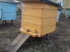Улей с пчелами по 14 стандартных рамок в комплекте
