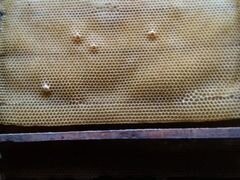 Пчелиные рамки,сушь,ульи