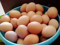 Яйца домашние, свежие. Всегда в продаже