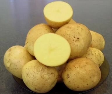 Картофель крупный, картошка, доставка