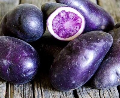 Картофель семенной фиолетовый