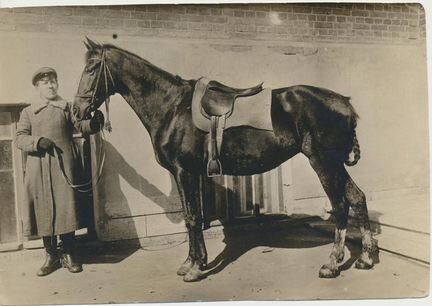 Фото с лошадками, до 1900. и 1923