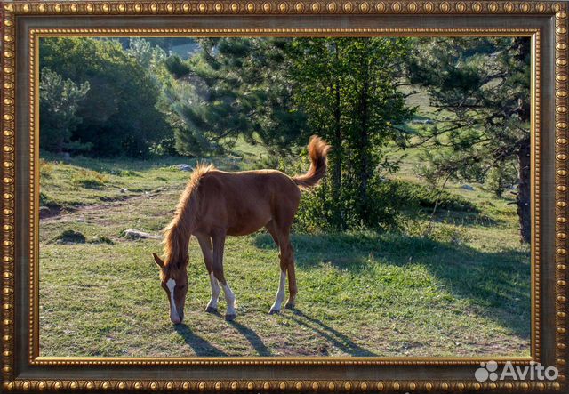 Фотокартина