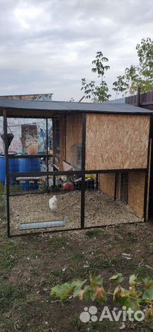 Дом для кур