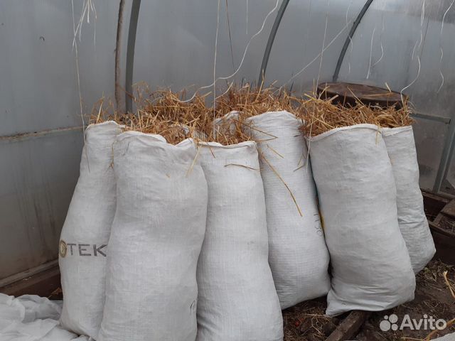 Солома в мешках для подстилки. Свежий урожай