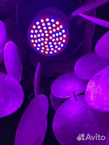 Лампочка для фитолампы для растений