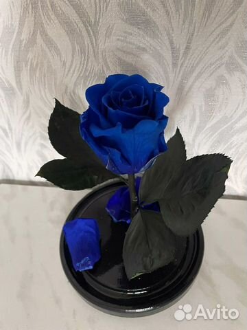 Синяя роза в колбе