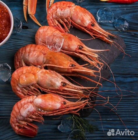 Креветка ботан