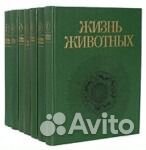 Жизнь животных