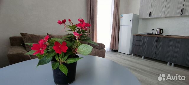 

Квартира-студия, 21 м², 1 кровать