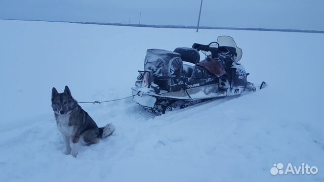 Снегоход polaris IQ 600