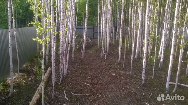 Участок 8 сот. (ИЖС) Участок 8 сот. (ИЖС)
