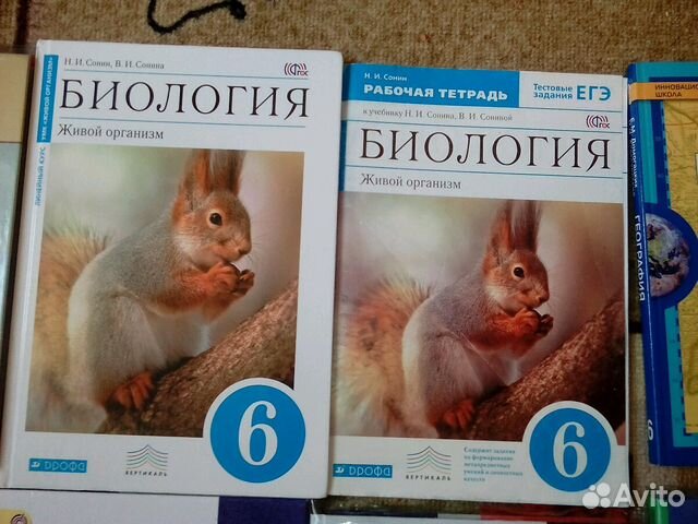 Учебники 6 и 9 класс Учебники 6 и 9 класс