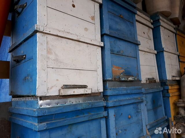 Ульи для пчел купить на Зозу.ру - фотография № 2