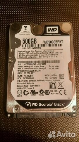 Жесткий диск Western Digital WD Scorpio Black 500 Жесткий диск Western Digital WD Scorpio Black 500