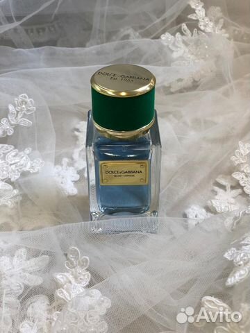 dolce gabbana velvet cypress