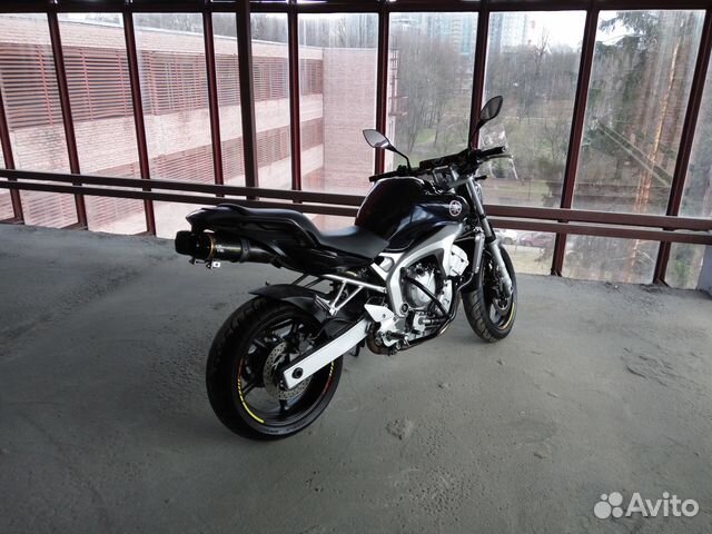 FZ6 N