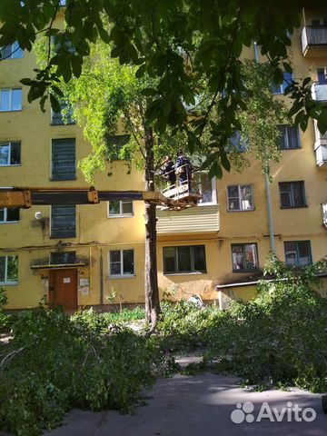 Спил деревье, вырубка кустарника