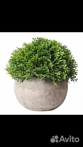 Предметы интерьера, Дизайнерские цветы в горшочке