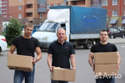 Грузоперевозки