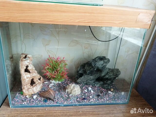 Продам аквариум, размер 70 /55 /30 купить на Зозу.ру - фотография № 1