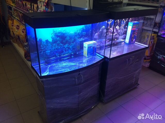 Панорамный аквариум 125 л купить на Зозу.ру - фотография № 1