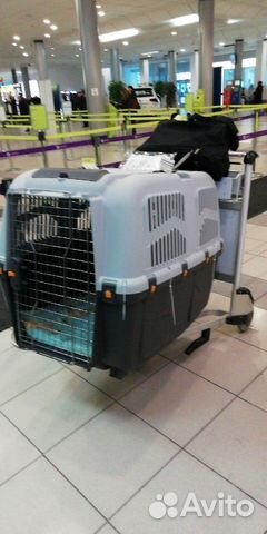 Клетка для перевозки собаки в самолете купить на Зозу.ру - фотография № 1