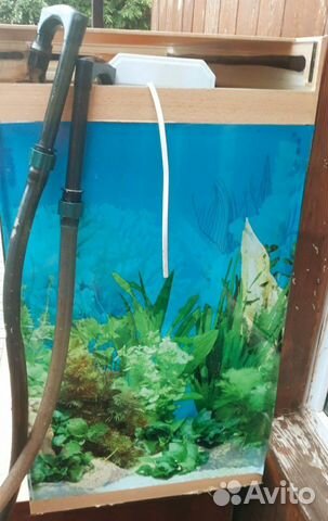 Продам большой аквариум вместе с насосом с фильтро
