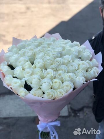 51 роза 101 31 51 роза 101 31