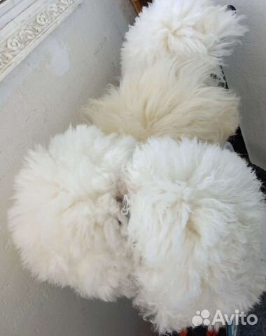 Папахи горские,продажа и прокат