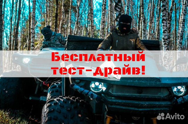 Снегоболотоход 